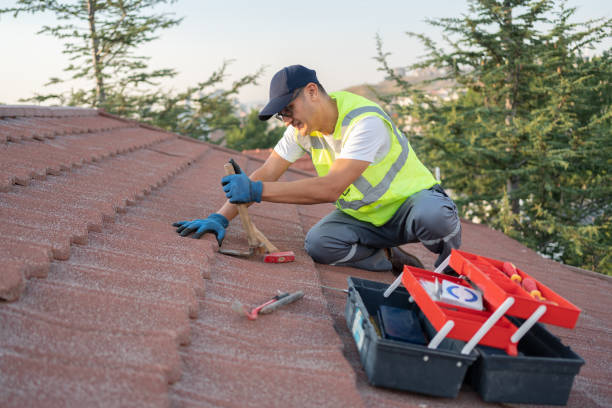 Fast & Reliable Emergency Roof Repairs in La Grange, NC